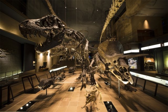 พิพิธภัณฑ์อิโนะจิโนะทาบิ